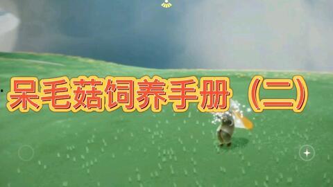 蘑菇疯马秀吃瓜网今日吃瓜,今日吃瓜网带你领略娱乐圈新鲜事