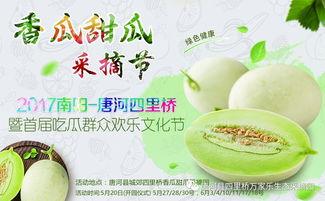 吃网红黄色大瓜,真相与争议背后的网络狂欢