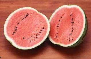 1400万粉丝的网红吃瓜,吃瓜界的风云人物