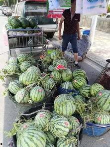 阜宁网红吃瓜事件