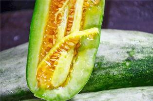 被吃瓜的网红有哪些,盘点那些被热议的“瓜王”事件