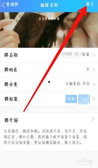 qq网红吃瓜群聊名称,一场场幕后风云的狂欢盛宴