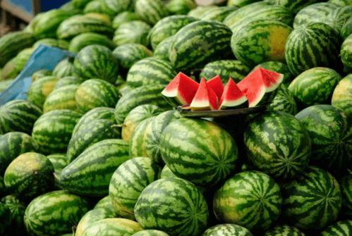 吃瓜的网红都有哪些人