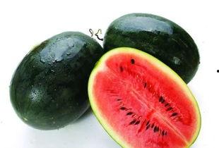 每日黑瓜吃料网 贴吧