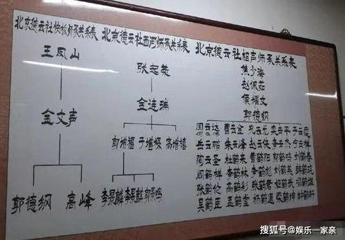 思雨学习吃瓜网,揭秘网络学习新潮流